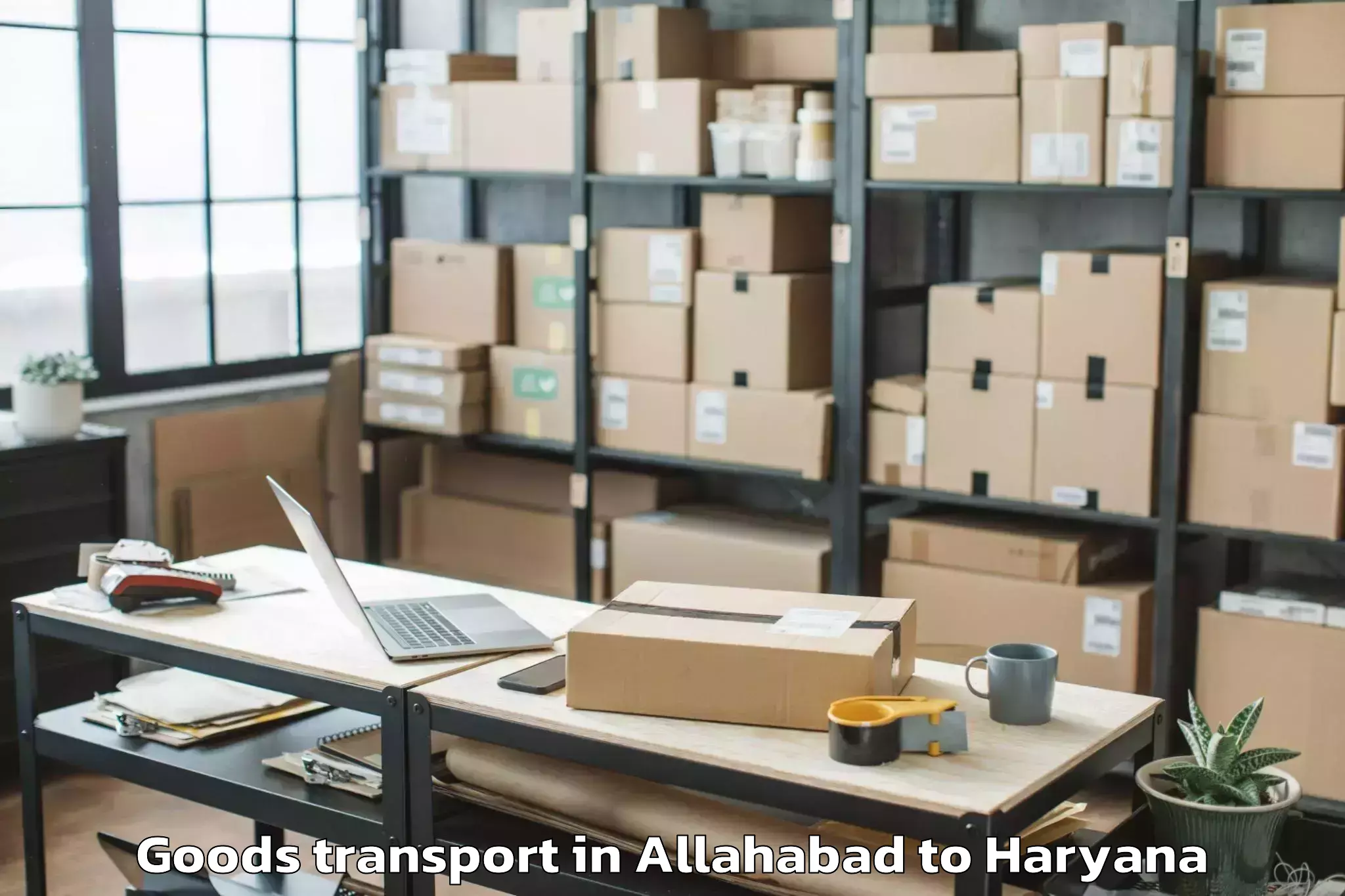 Professional Allahabad to Ateli Goods Transport